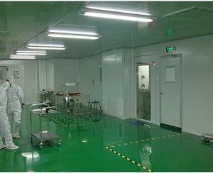 無(wú)塵車(chē)間凈化工程廠家
